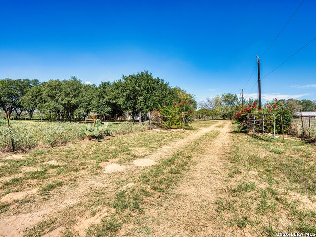 1555 Hoffman Road Property Photo 8