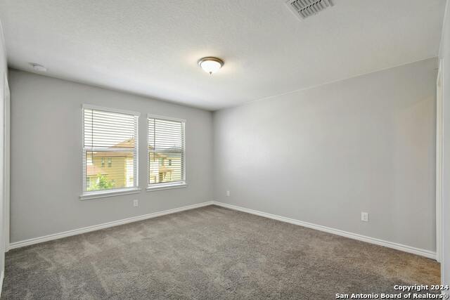 3736 Point Loma Property Photo 22