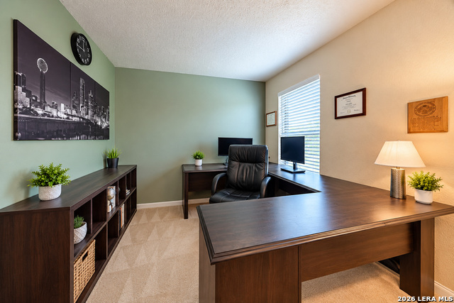 137 Springtree Shadow Property Photo 10