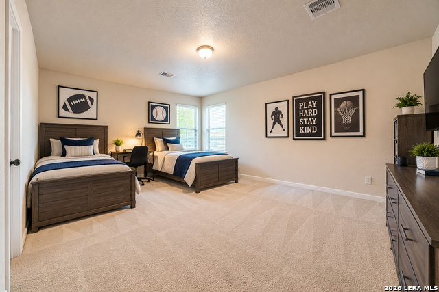 137 Springtree Shadow Property Photo 14