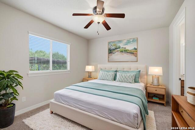 21302 Hampton Park Property Photo 27