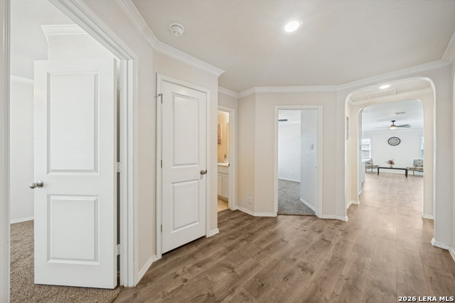 6602 Beech Trail Property Photo 10