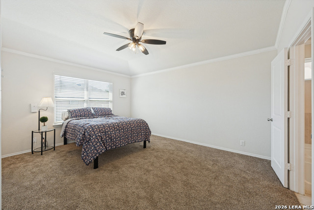 6602 Beech Trail Property Photo 11