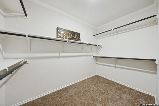6602 Beech Trail Property Photo 15