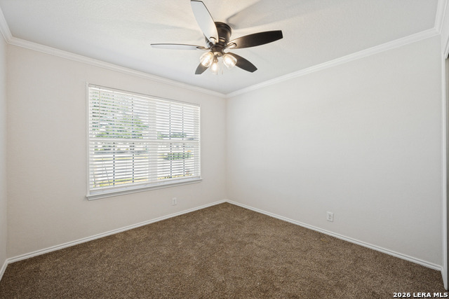 6602 Beech Trail Property Photo 16