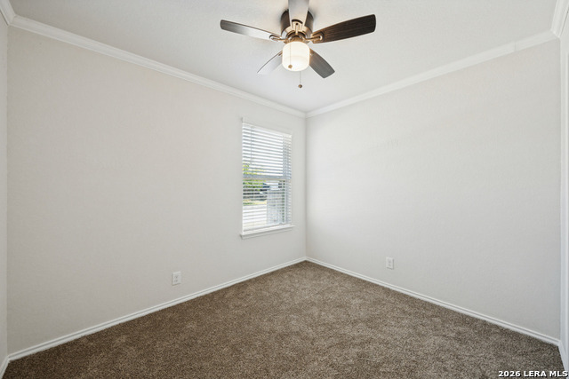 6602 Beech Trail Property Photo 18