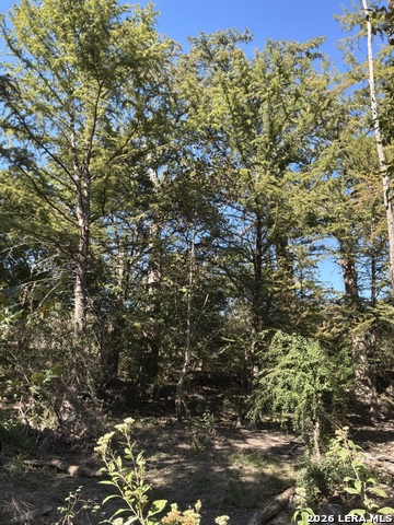 356 Phyliss Dr Property Photo 19