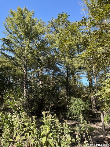 356 Phyliss Dr Property Photo 20