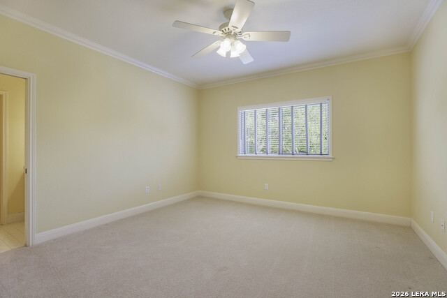 227 Gray Hawk Property Photo 34