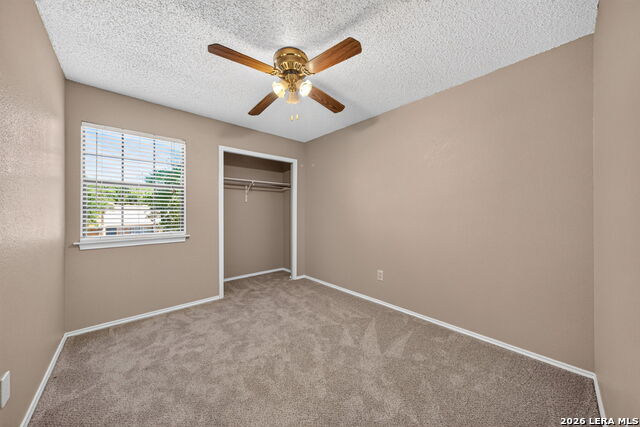 3909 Ogelthorpe Property Photo 20