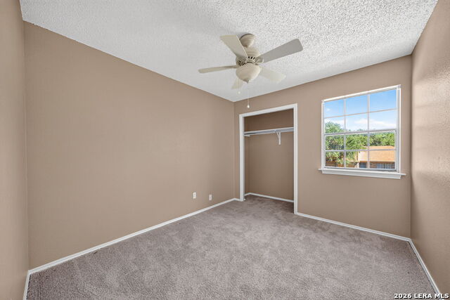 3909 Ogelthorpe Property Photo 22