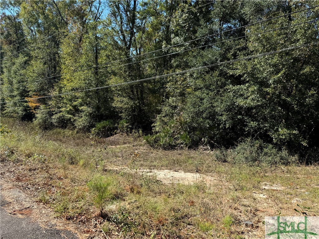 260 Old Highway 204 Road Property Photo 1