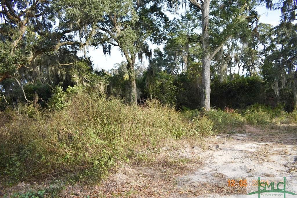 0 Adel Street Property Photo 1