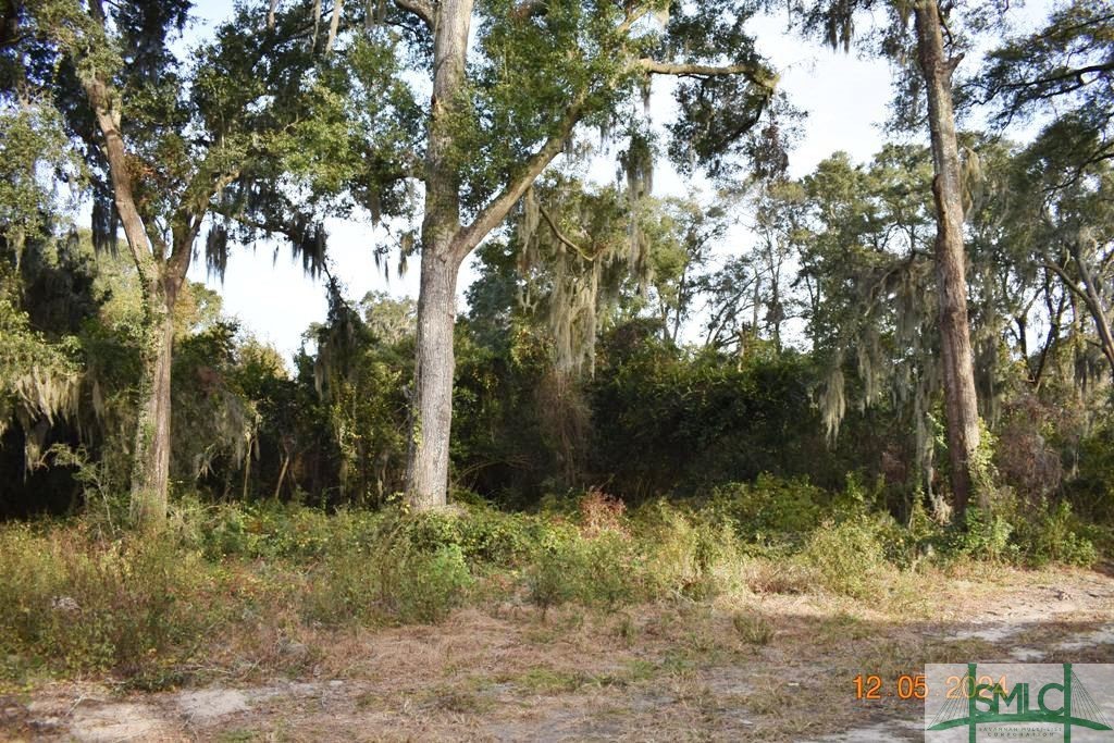 0 Adel Street Property Photo 2