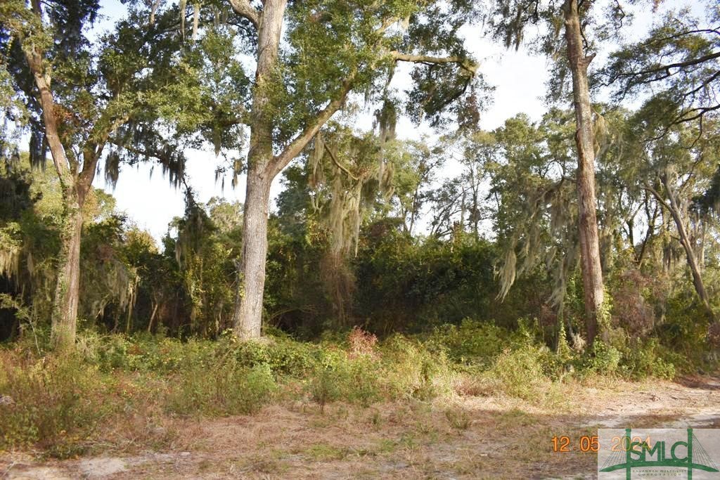 0 Adel Street Property Photo 3