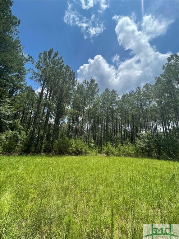 0 Rahn Station Road Property Photo 2