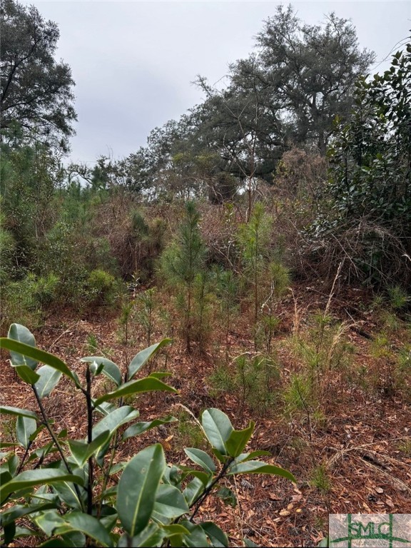 4 Acres E Oglethorpe Highway Property Photo