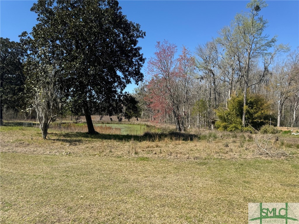 0 Us Hwy 17 Highway Property Photo