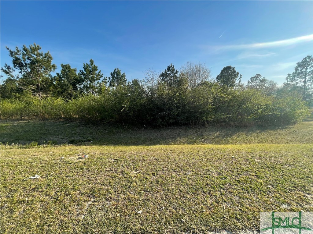 0 Effingham Highway Property Photo
