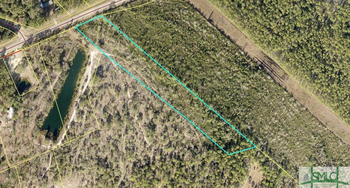 0 Ga 204 Highway Property Photo 1