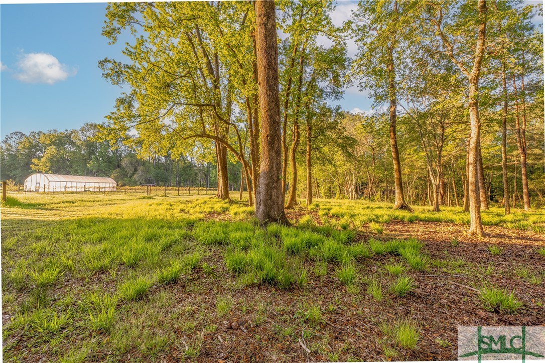 1151 Harry Lindsay Road Property Photo 41