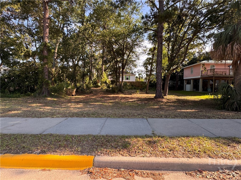 1017 Us Highway 80 Highway Property Photo
