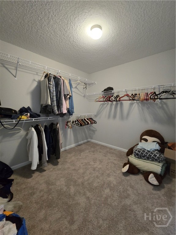 269 Brightleaf Circle Property Photo 19