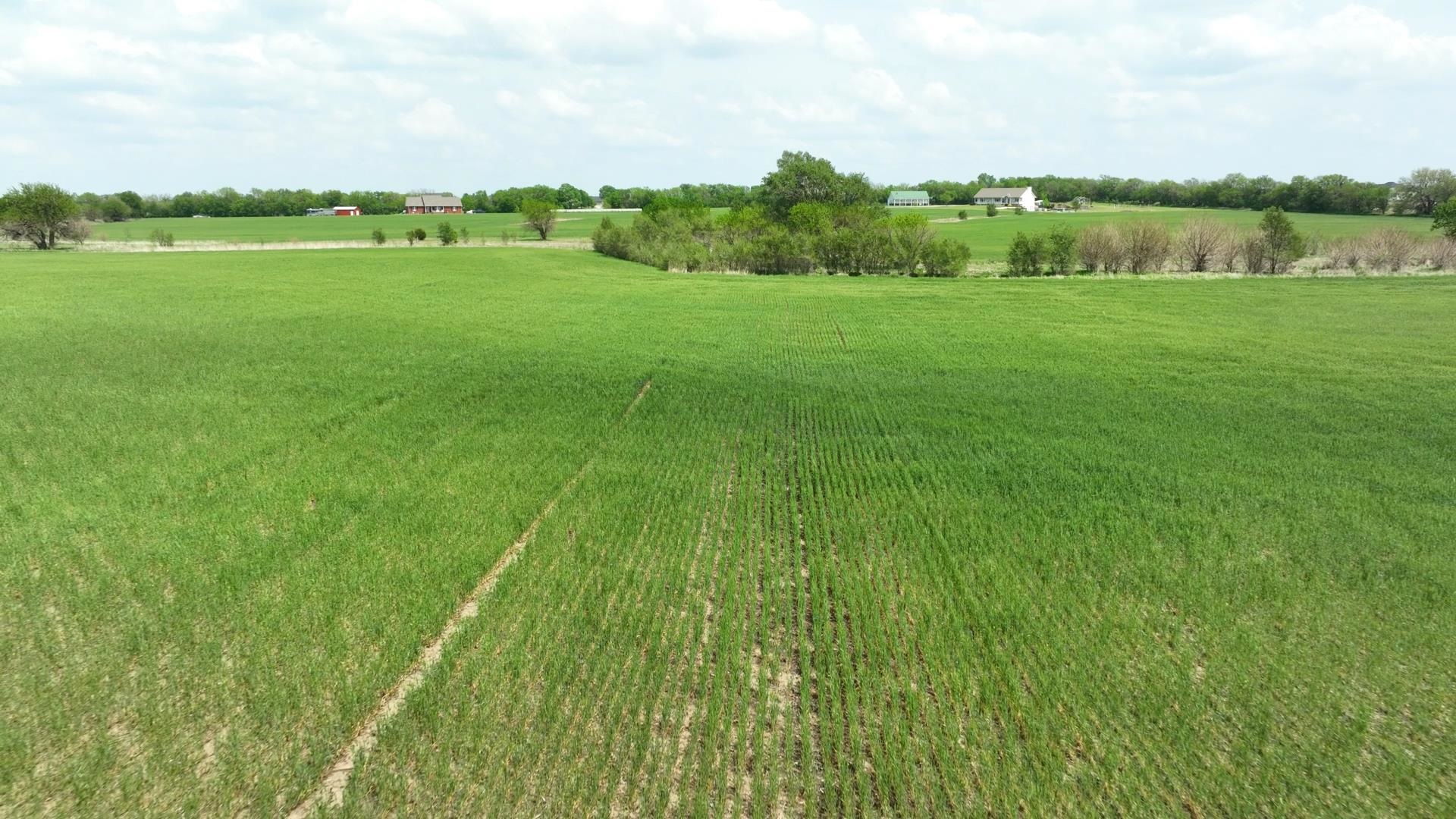 Lot Lot 12 Block 3 Dry Creek Estates Property Photo 1