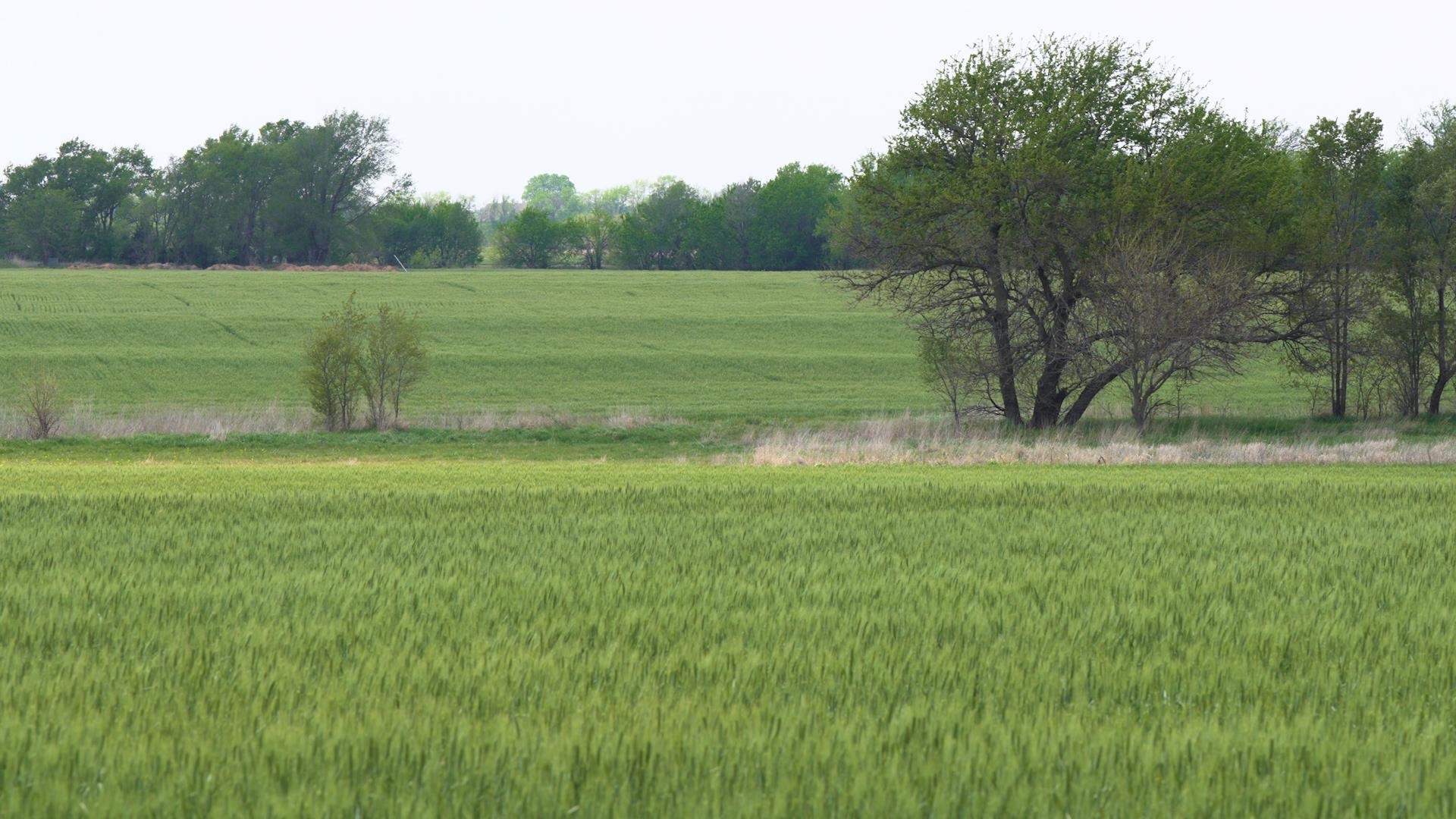 Lot Lot 12 Block 3 Dry Creek Estates Property Photo 5
