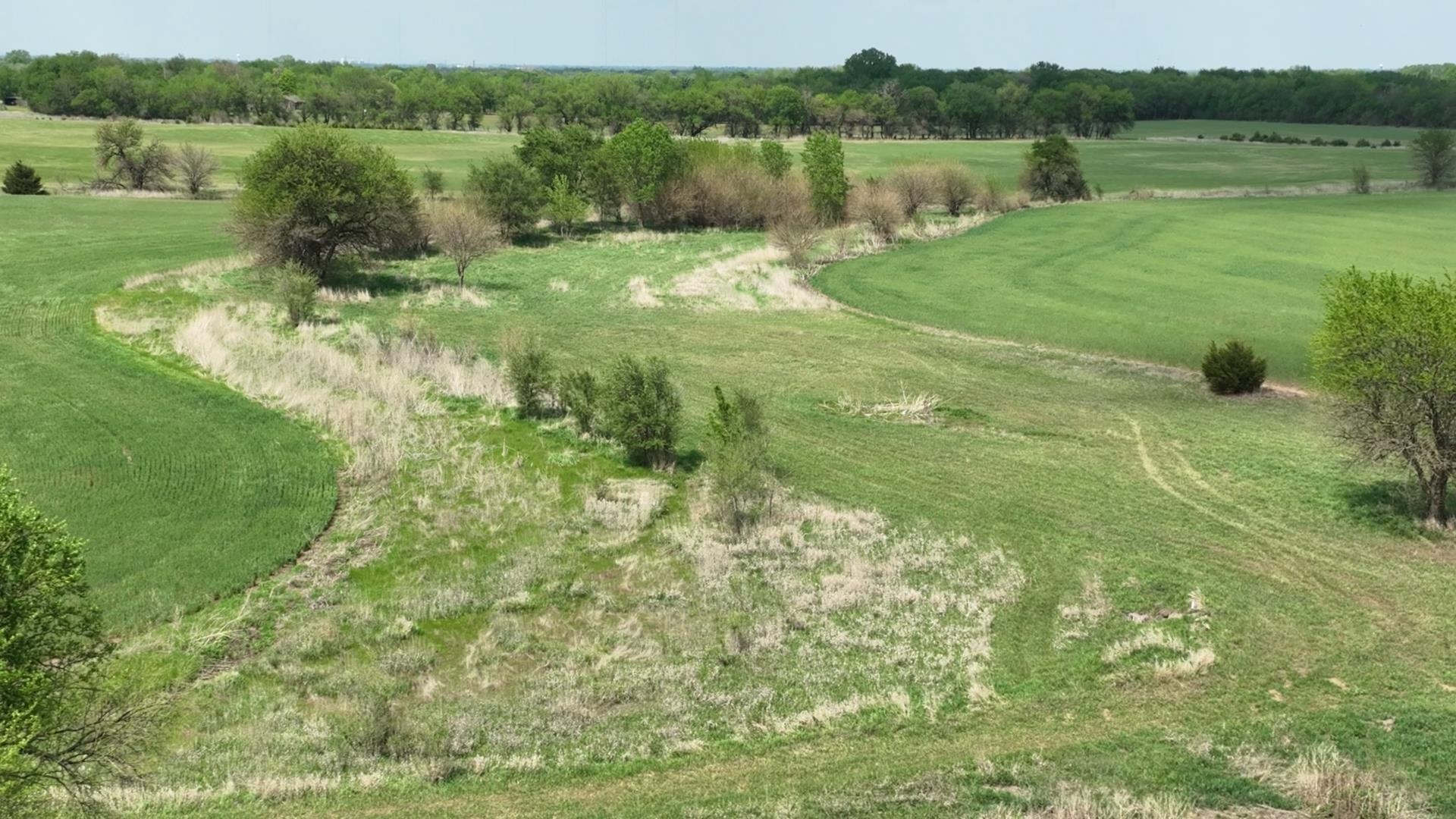 Lot Lot 12 Block 3 Dry Creek Estates Property Photo 6