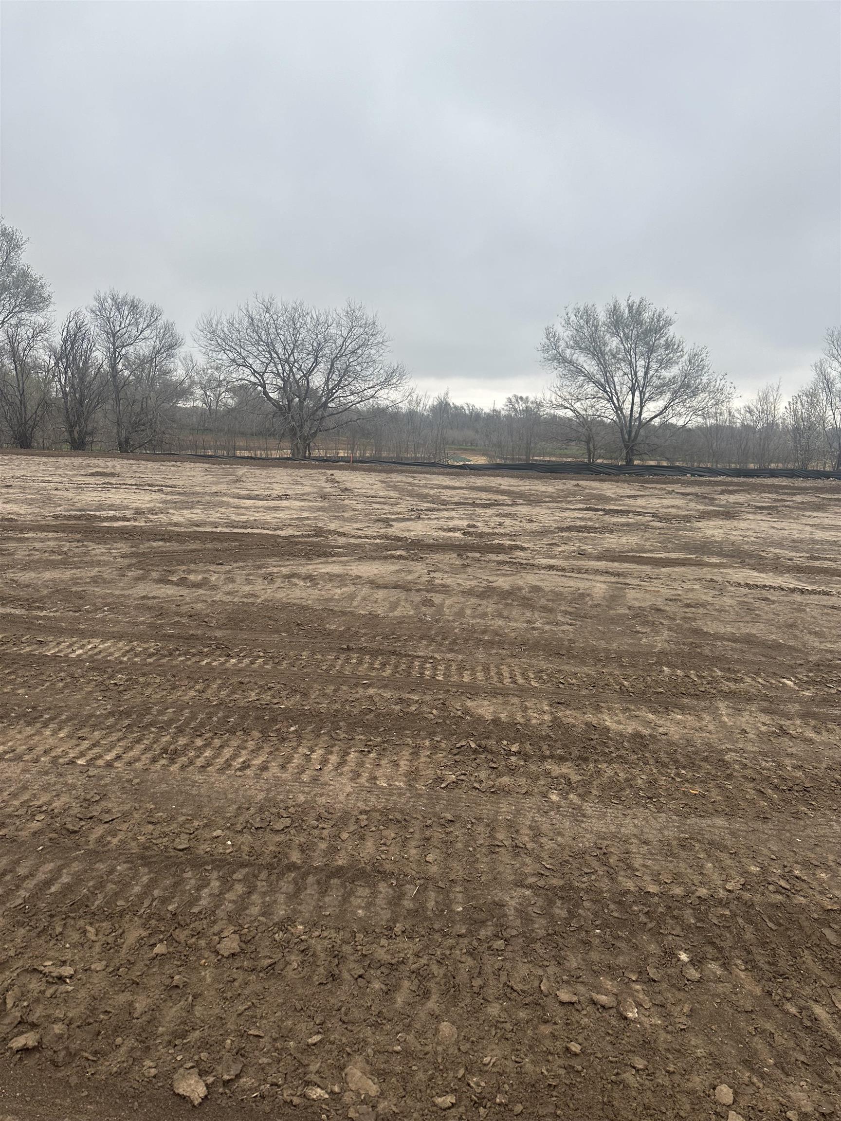 14227 W Barn Owl St Property Photo 1