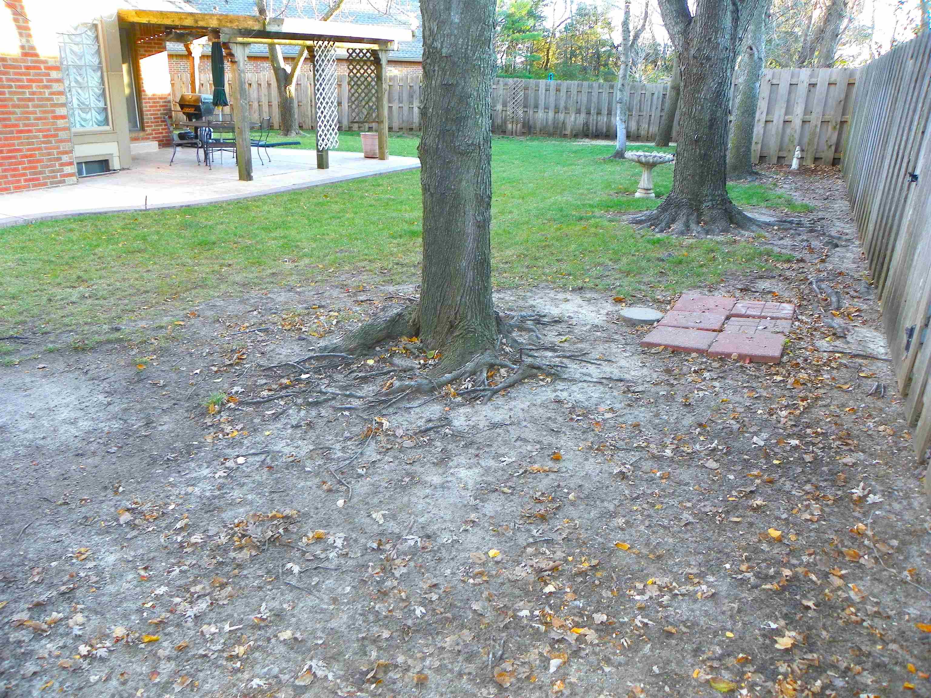2209 N Penstemon St. Property Photo 12