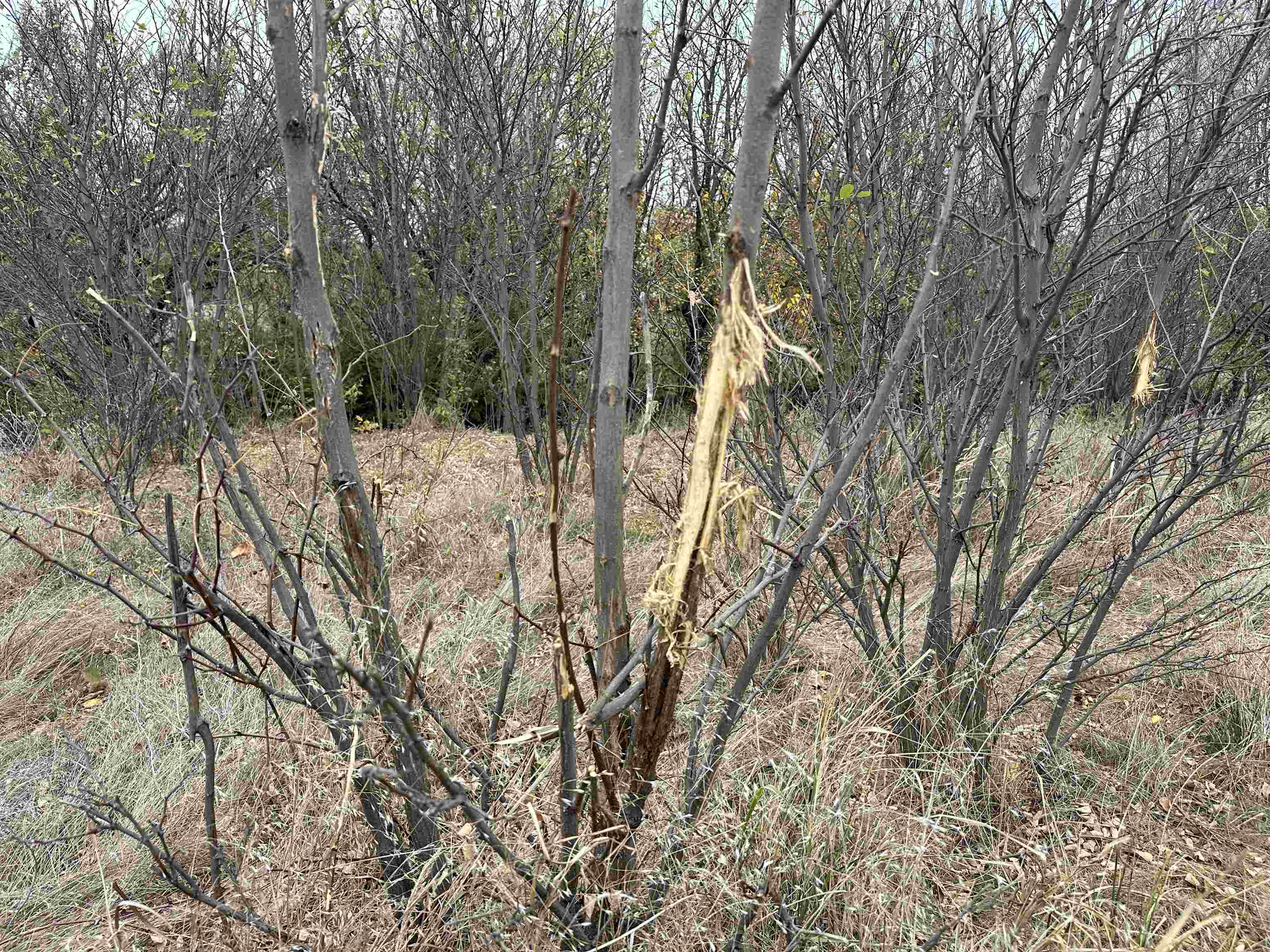0000 N Clearwater Rd Property Photo 12