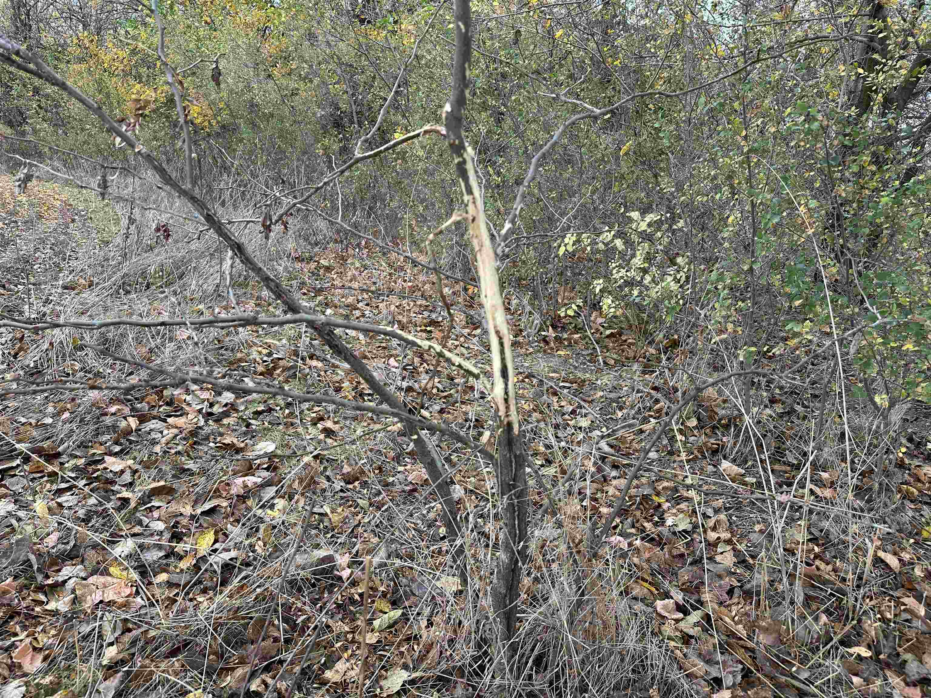 0000 N Clearwater Rd Property Photo 17