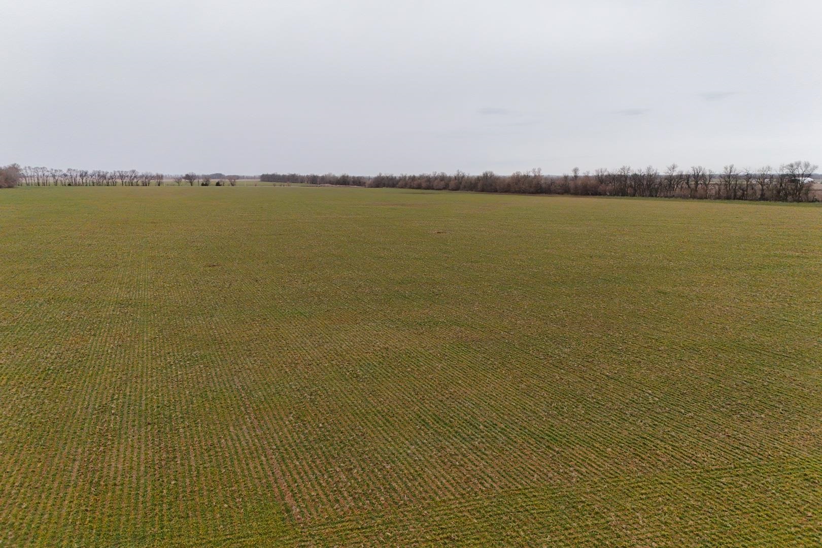 74+/- Acres 101st Property Photo 8