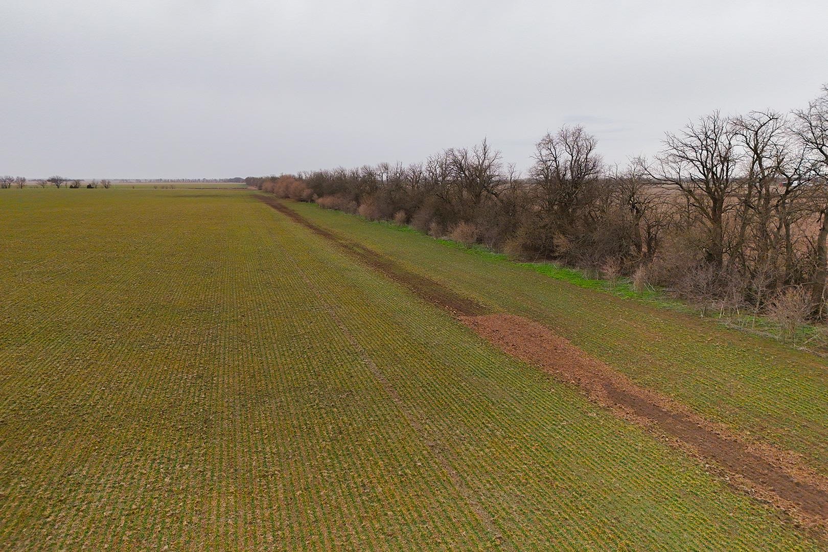 74+/- Acres 101st Property Photo 12