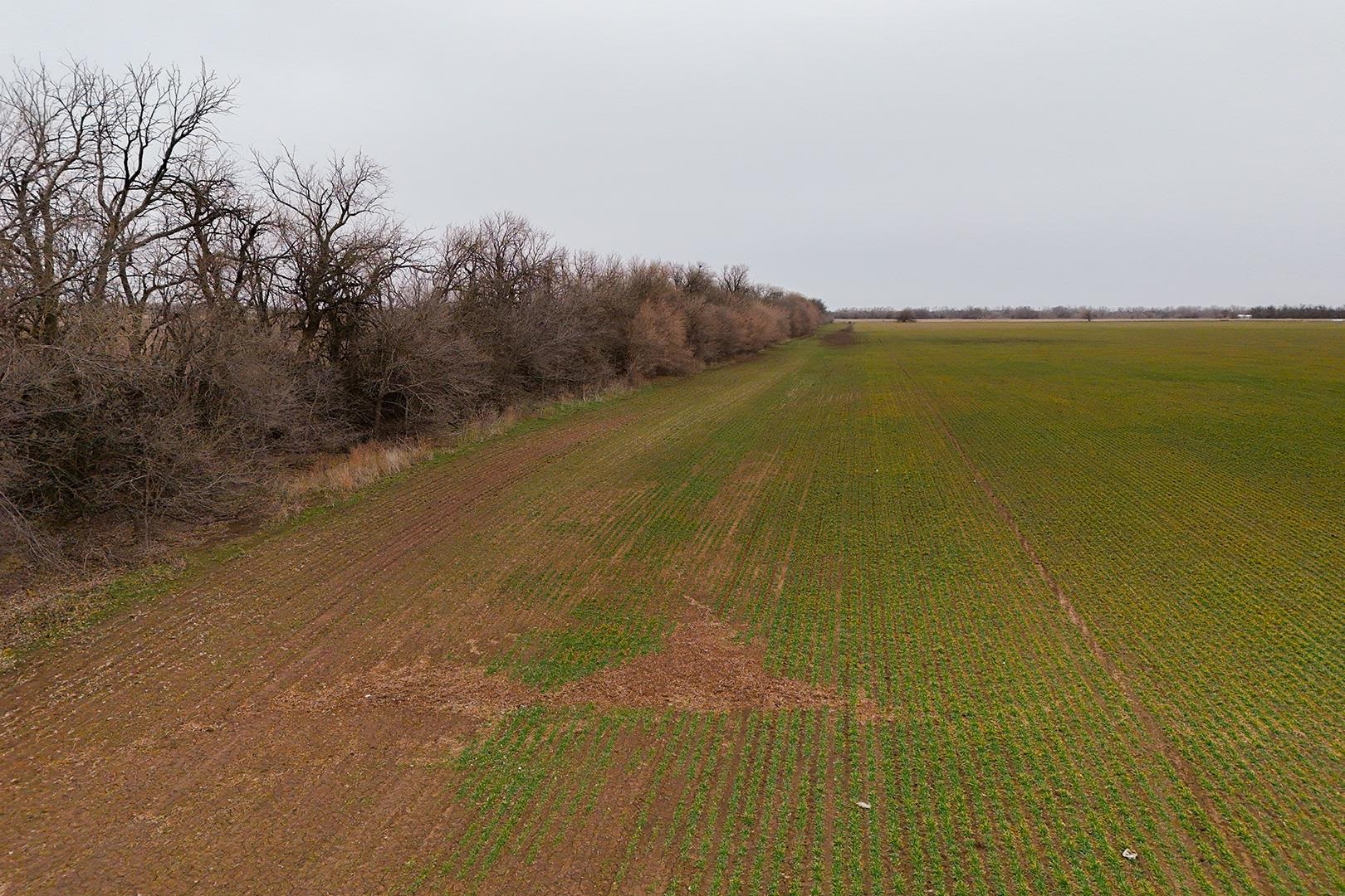 74+/- Acres 101st Property Photo 20