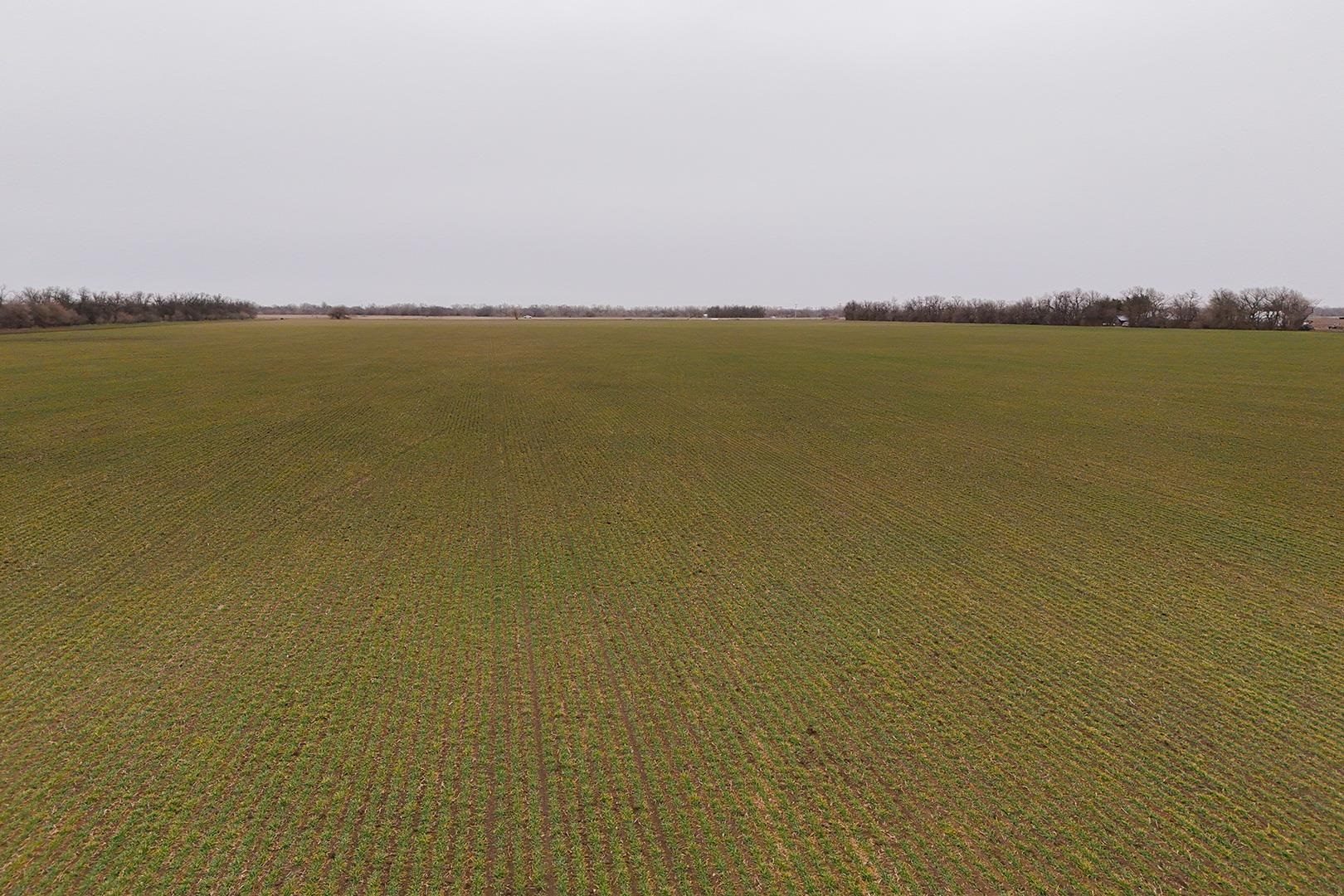 74+/- Acres 101st Property Photo 21