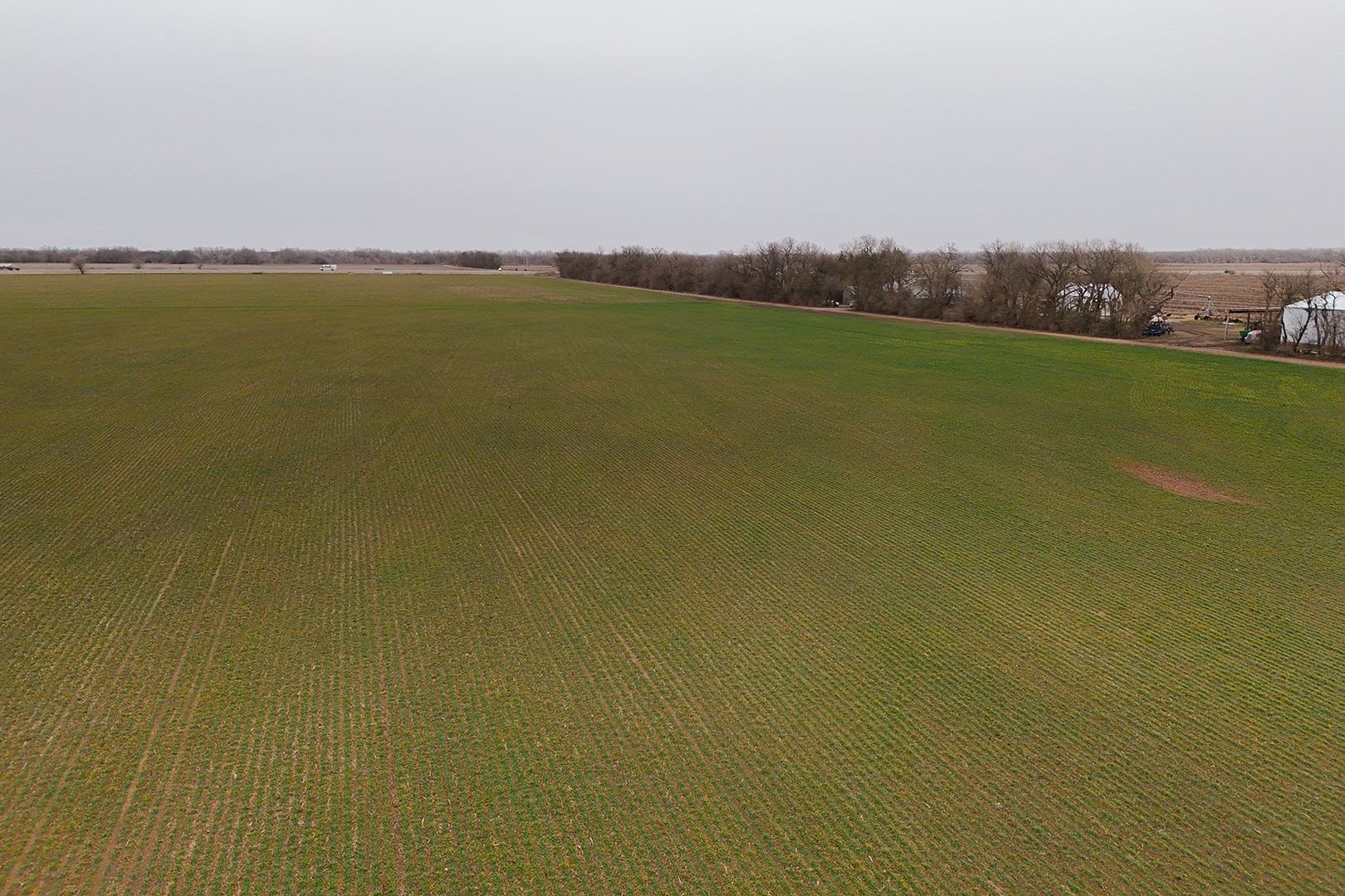 74+/- Acres 101st Property Photo 32