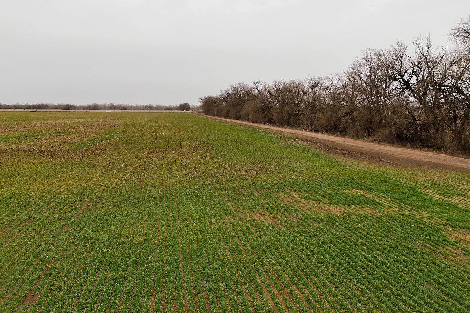 74+/- Acres 101st Property Photo 34