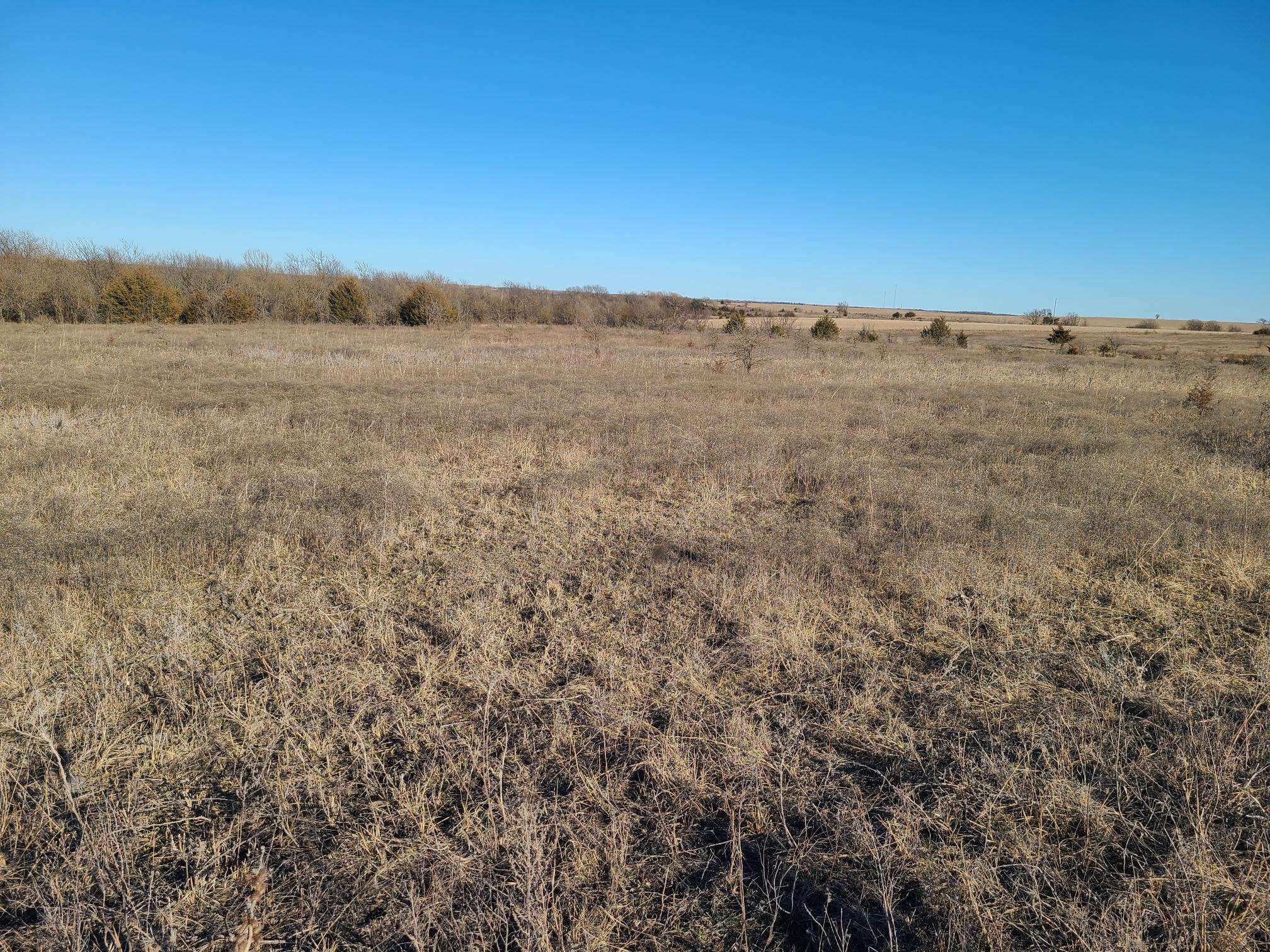 0000 Rr Property Photo 9