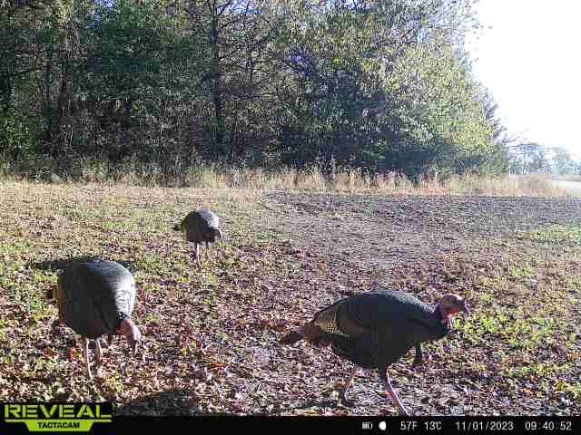 000 River Rd Property Photo 6