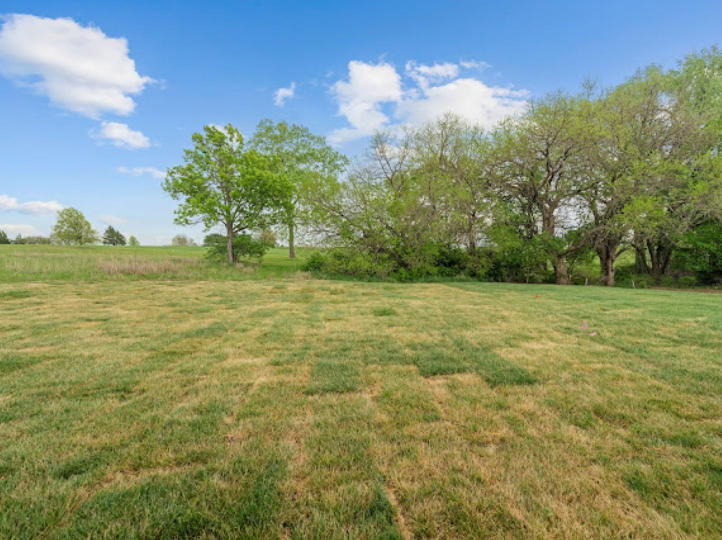 1117 Bentgrass Dr Property Photo 28