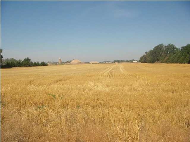 6099 N Ridge Rd Property Photo