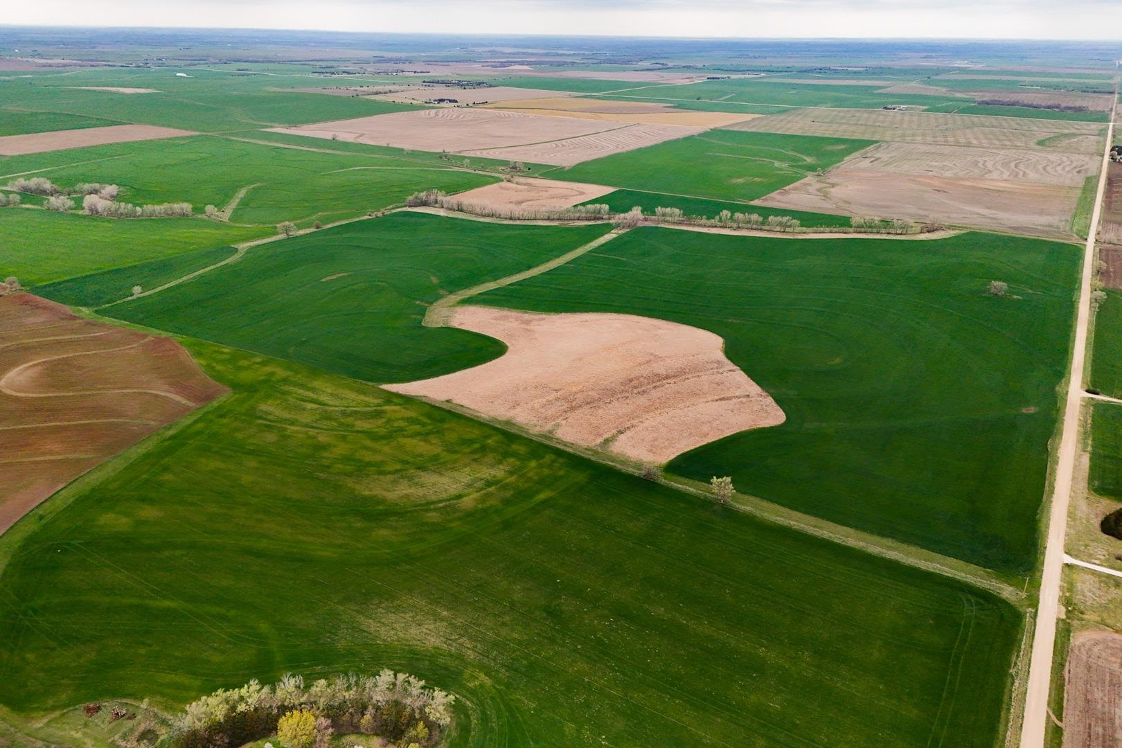 155.90 +/- Acre Daisy Rd & 1300 Property Photo 2