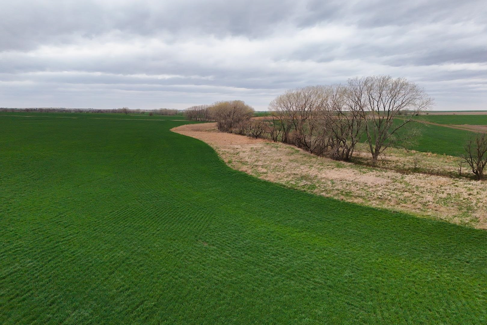 155.90 +/- Acre Daisy Rd & 1300 Property Photo 3