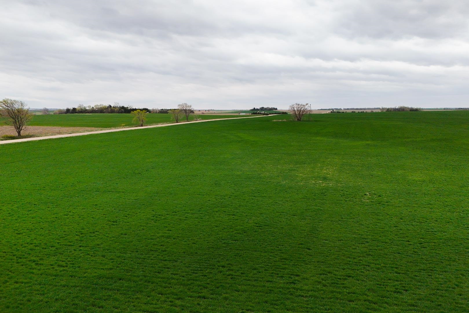 155.90 +/- Acre Daisy Rd & 1300 Property Photo 4