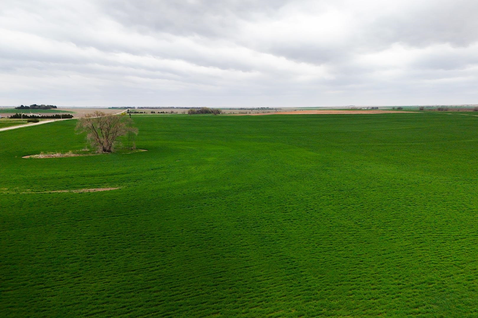 155.90 +/- Acre Daisy Rd & 1300 Property Photo 5