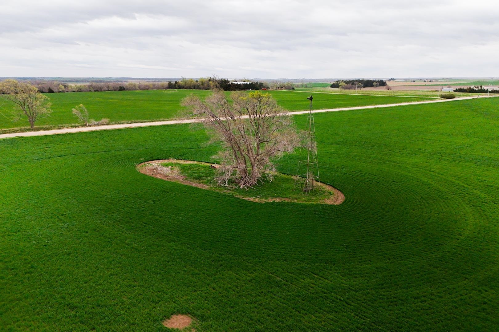 155.90 +/- Acre Daisy Rd & 1300 Property Photo 6
