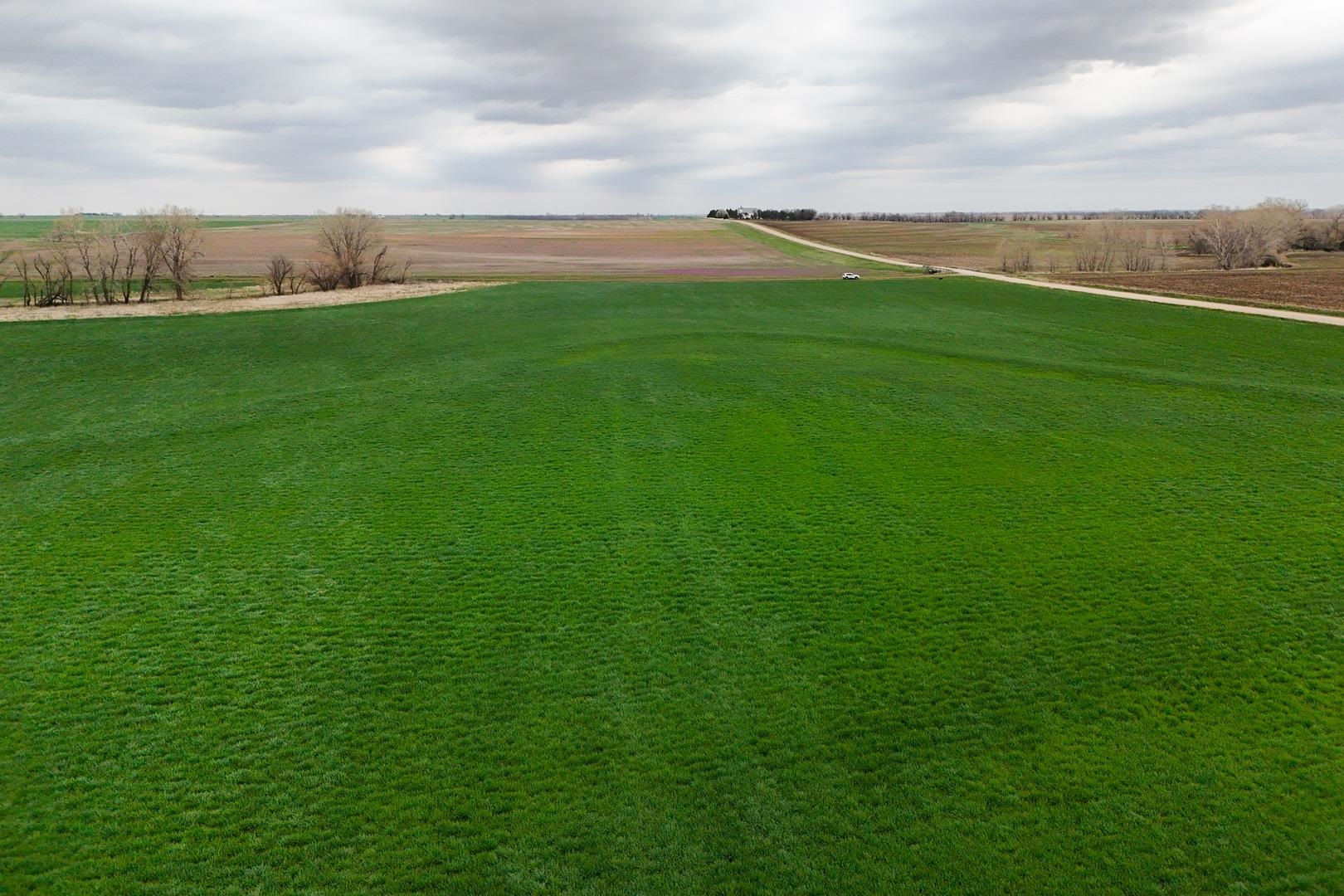 155.90 +/- Acre Daisy Rd & 1300 Property Photo 7